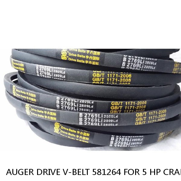 AUGER DRIVE V-BELT 581264 FOR 5 HP CRAFTSMAN 536.886120 SNOW BLOWER