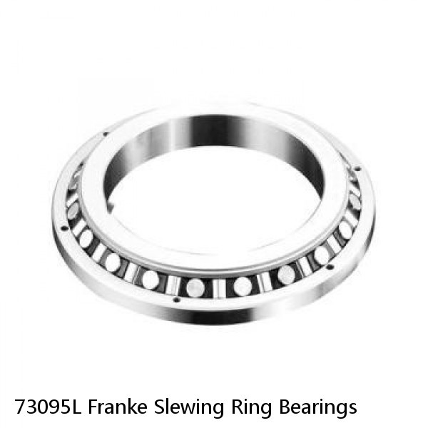 73095L Franke Slewing Ring Bearings #1 small image