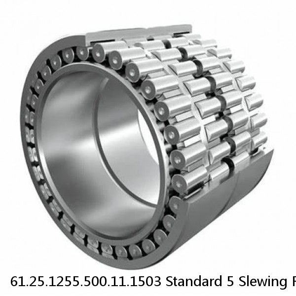 61.25.1255.500.11.1503 Standard 5 Slewing Ring Bearings #1 small image