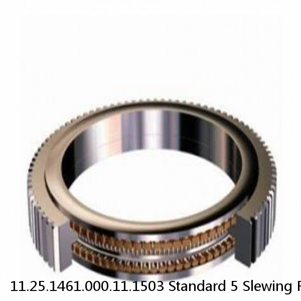 11.25.1461.000.11.1503 Standard 5 Slewing Ring Bearings