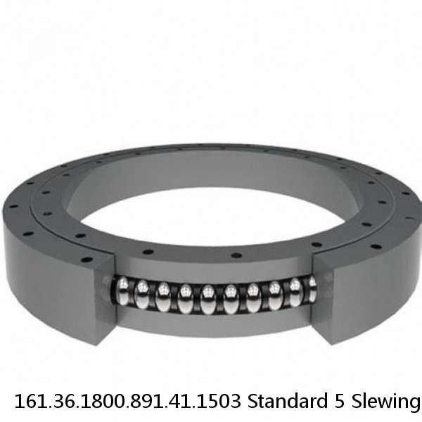 161.36.1800.891.41.1503 Standard 5 Slewing Ring Bearings #1 small image
