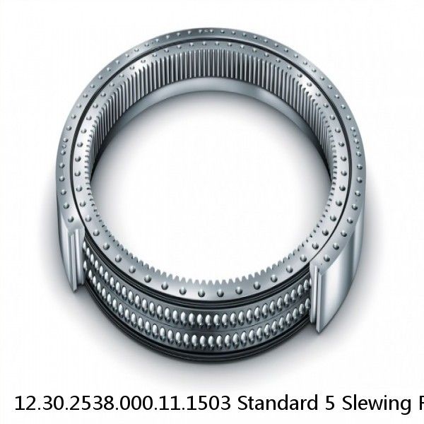 12.30.2538.000.11.1503 Standard 5 Slewing Ring Bearings #1 small image