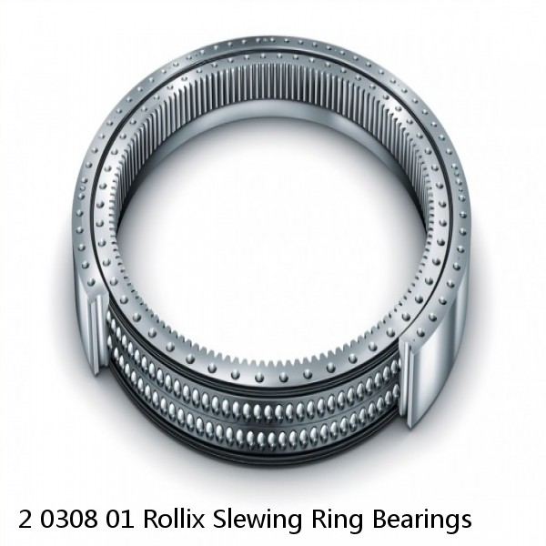 2 0308 01 Rollix Slewing Ring Bearings