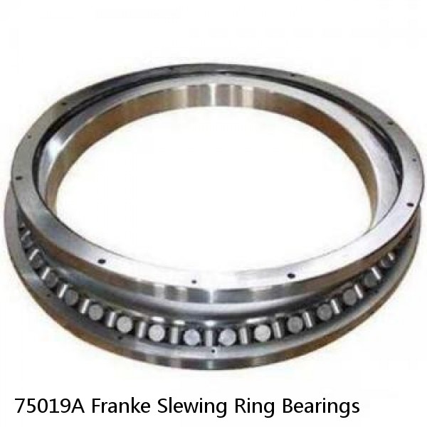 75019A Franke Slewing Ring Bearings #1 small image