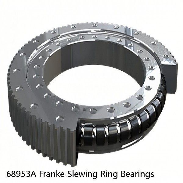 68953A Franke Slewing Ring Bearings #1 small image