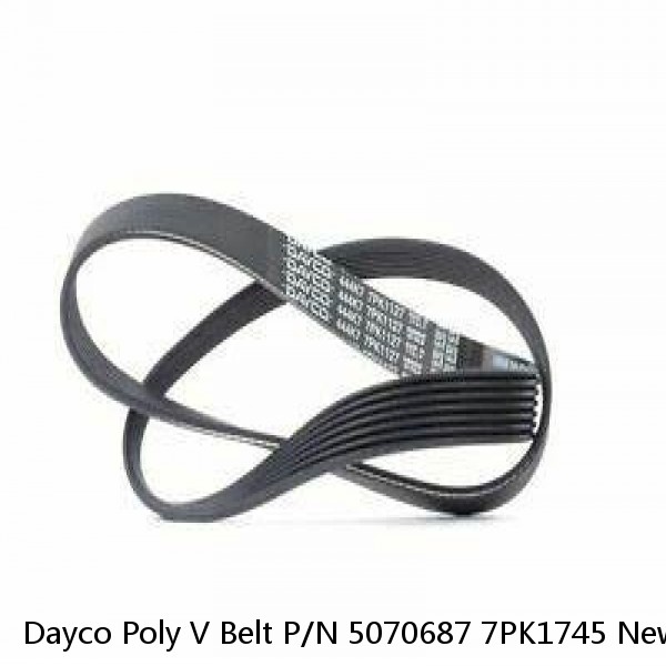 Dayco Poly V Belt P/N 5070687 7PK1745 New in Package Vehicle Accessory