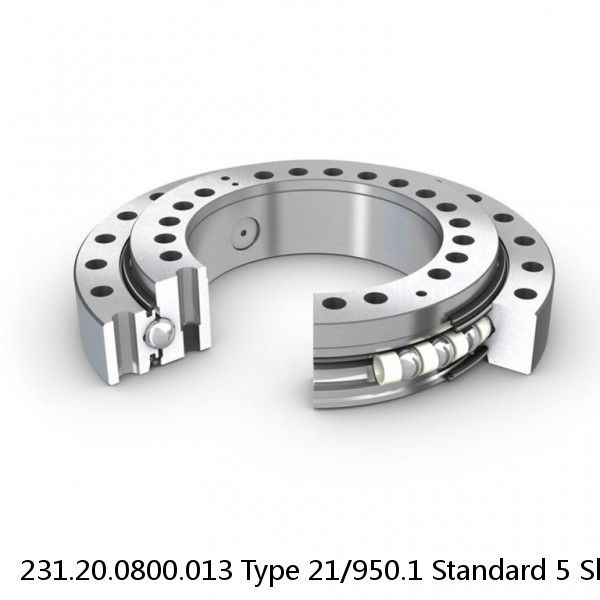 231.20.0800.013 Type 21/950.1 Standard 5 Slewing Ring Bearings #1 image