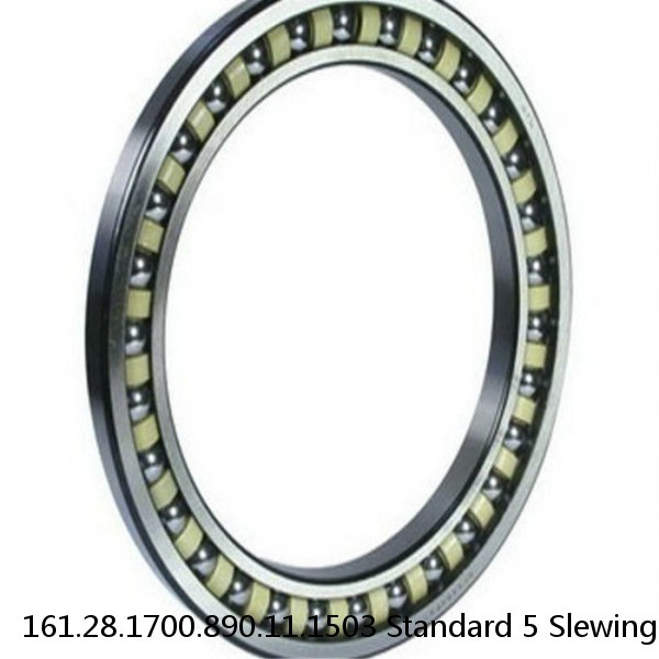 161.28.1700.890.11.1503 Standard 5 Slewing Ring Bearings #1 image