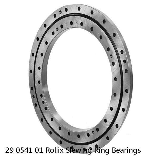 29 0541 01 Rollix Slewing Ring Bearings #1 image