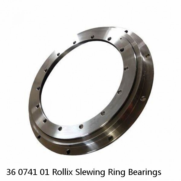36 0741 01 Rollix Slewing Ring Bearings #1 image