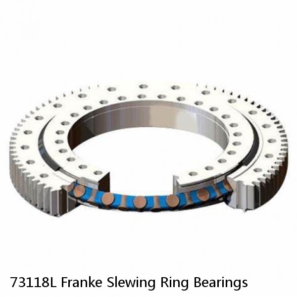 73118L Franke Slewing Ring Bearings #1 image