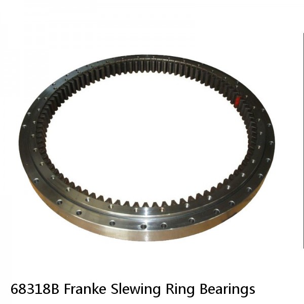 68318B Franke Slewing Ring Bearings #1 image