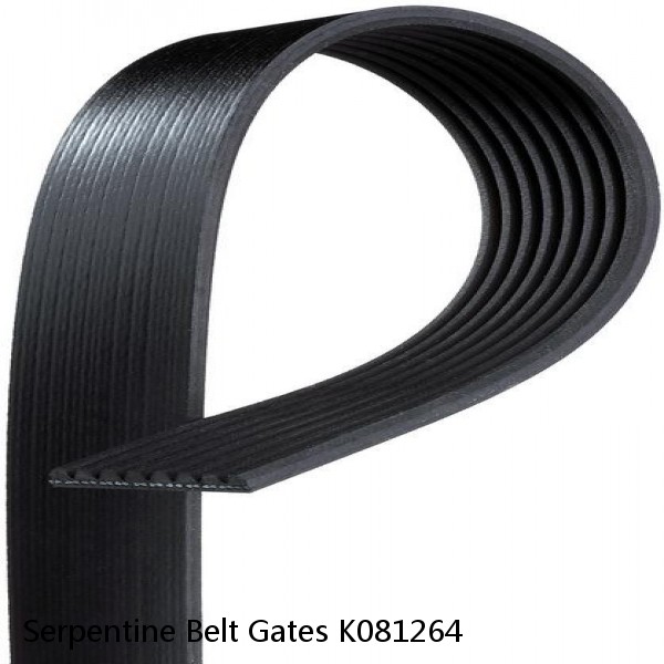Serpentine Belt Gates K081264 #1 image
