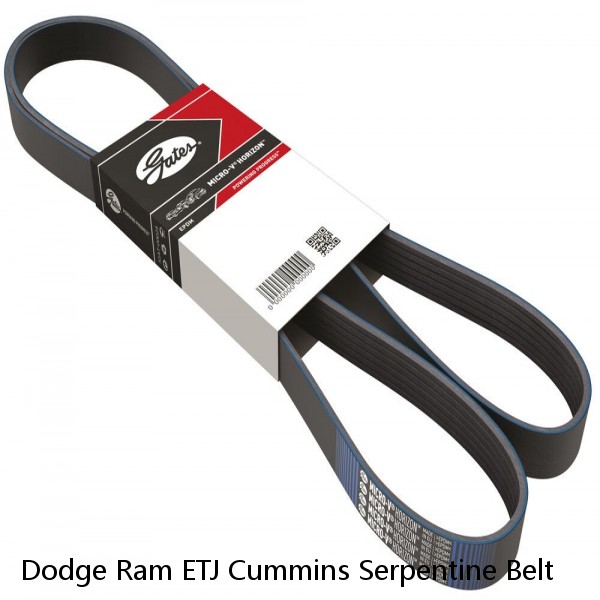 Dodge Ram ETJ Cummins Serpentine Belt #1 image
