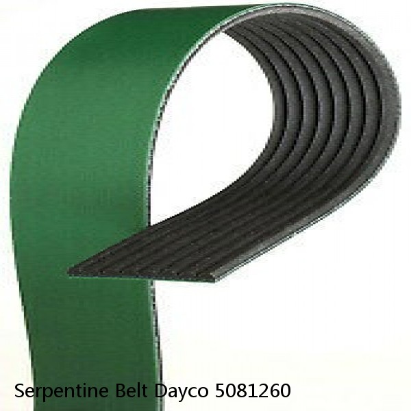 Serpentine Belt Dayco 5081260 #1 image