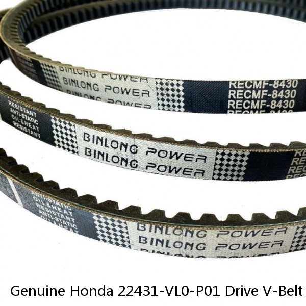 Genuine Honda 22431-VL0-P01 Drive V-Belt Fits HRR216 VKAA VYAA VLAA OEM #1 image